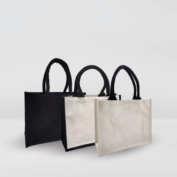 Small Canvas Tote Bag